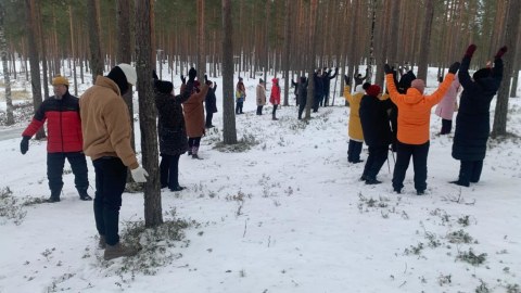 Ryhmä ihmisiä metsäkylvyssä talvella