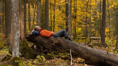 Woman lying on on trunk in autumn forest