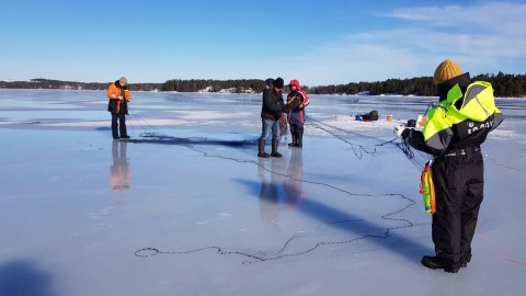 Ice fishing with nets in a sunny March day