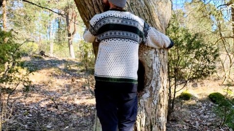 Mies halaa puuta metsäkylvyssä