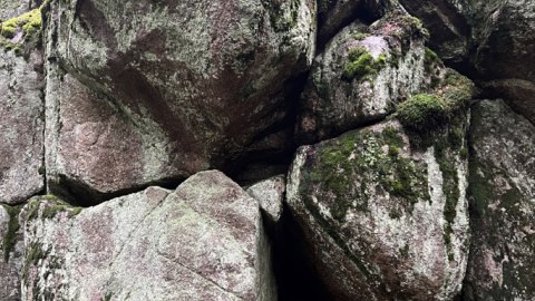 Big rocks in forest