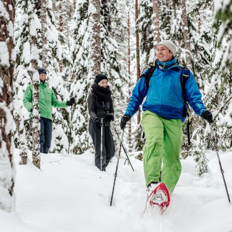 3 people snowshoeing in the forest.