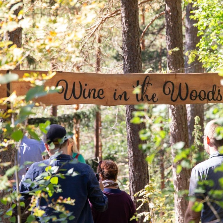 people entering Wine in the Woods area