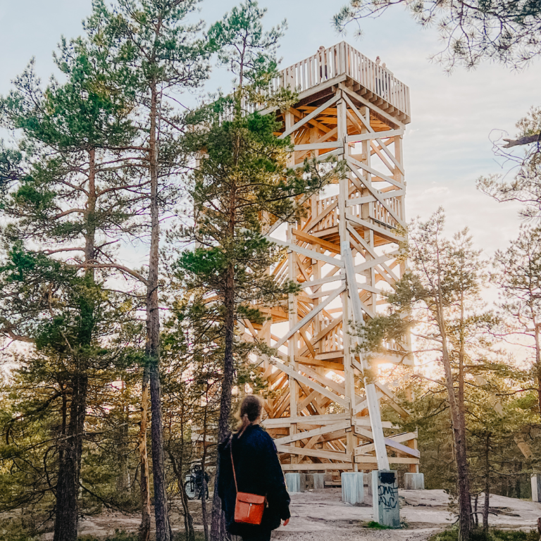 Wooden view tower in the middle of forest and sun shining behind