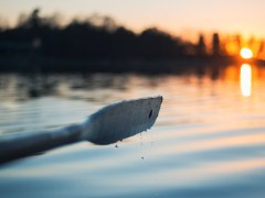 Veneen airo ilmassa kesäisellä järvellä ilta-auringossa.