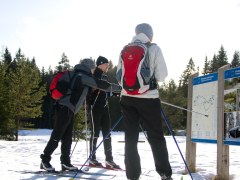 Group of cross-country skiers looking at map at skiing area