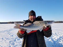 The biggest catch of the day - a pike perch