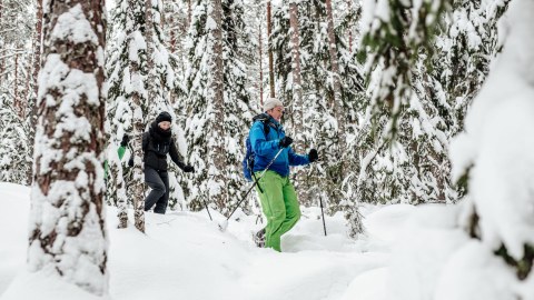 Snowshoeing in winter forest