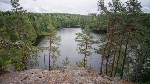 The view to the pond Haukkalampi in Nuuksio national park