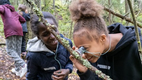 Nuoret tutkivat luupilla oksaa metsässä