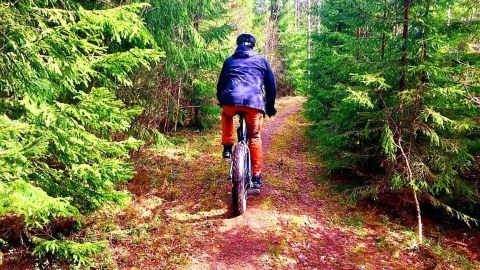 Pyöräilijä metsässä
