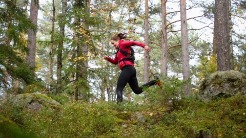 Retkeilijä juoksee syksyisessä metsässä Nuuksion kansallispuistossa. Kuva: Katri Lehtola