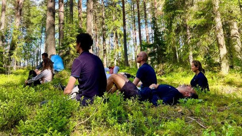 mindfulness forest therapy metsämieli