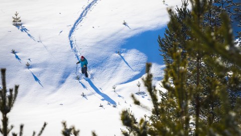 Powder_Skinbased_skiing