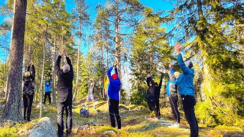 mindfulness forest therapy metsämieli