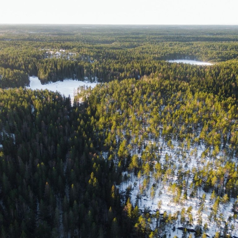 Dron view over National Park Nuuksio during early/late winter