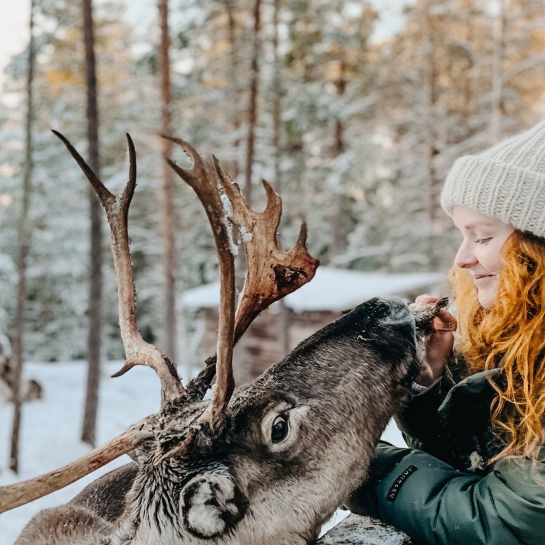 Woman feeding a reindeer during winter