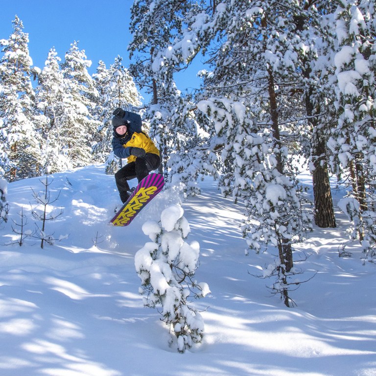 Lumilautailija hyppäämässä lumisessa metsässä off-piste reitillä.