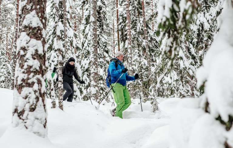 Snowshoeing in winter forest