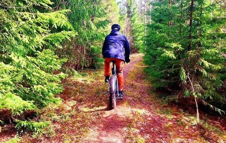 Pyöräilijä metsässä