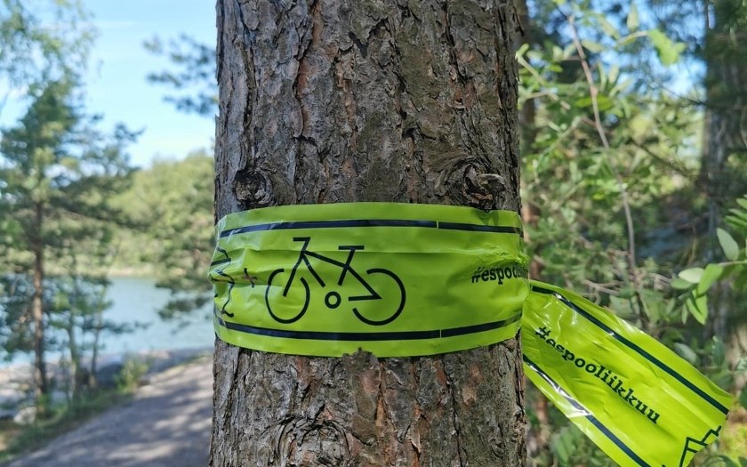 Cycling route mark on tree