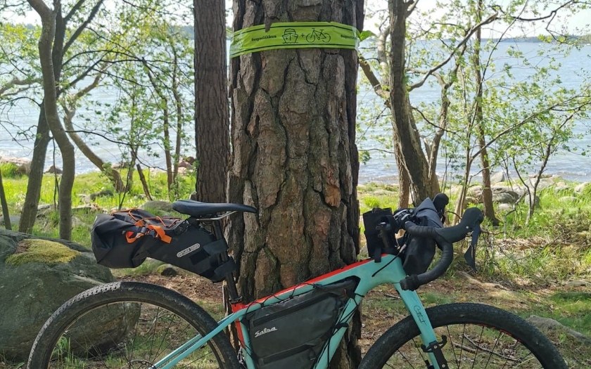 Cycling mark on tree and bike