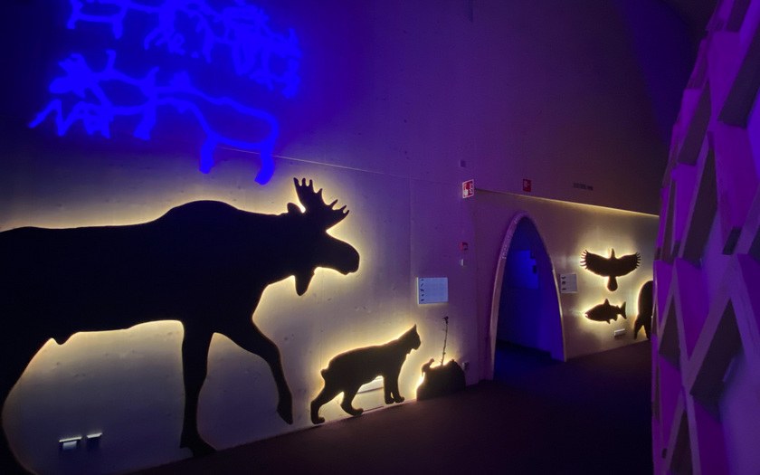Kuva Haltian näyttelystä hämärässä valaistuksessa, jossa seinällä näkyy hirven ja muiden eläinten profiileja.