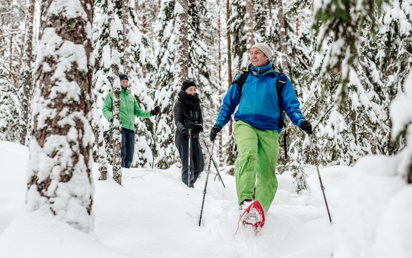 People snowshoeing in a winter forest.