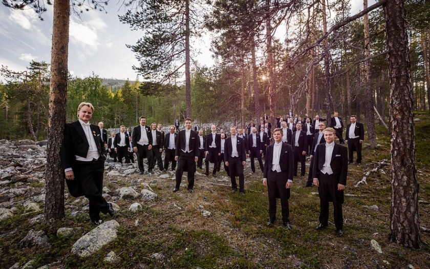 Group of musicians in the forest