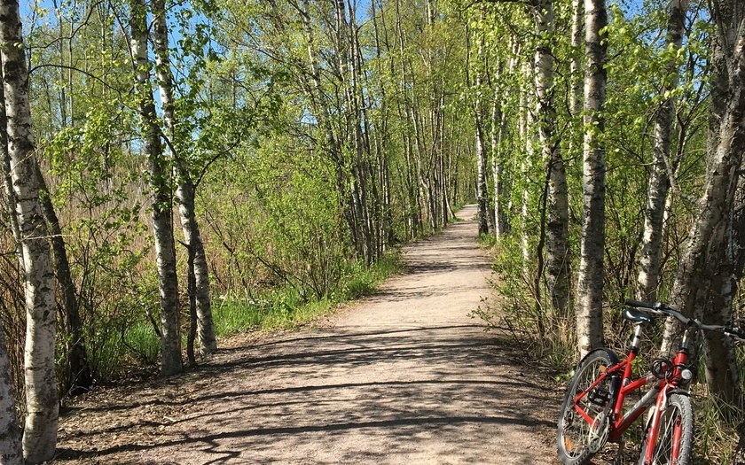 Pyörä nojaa koivuun Espoon Rantaraitilla Laajalahdessa.