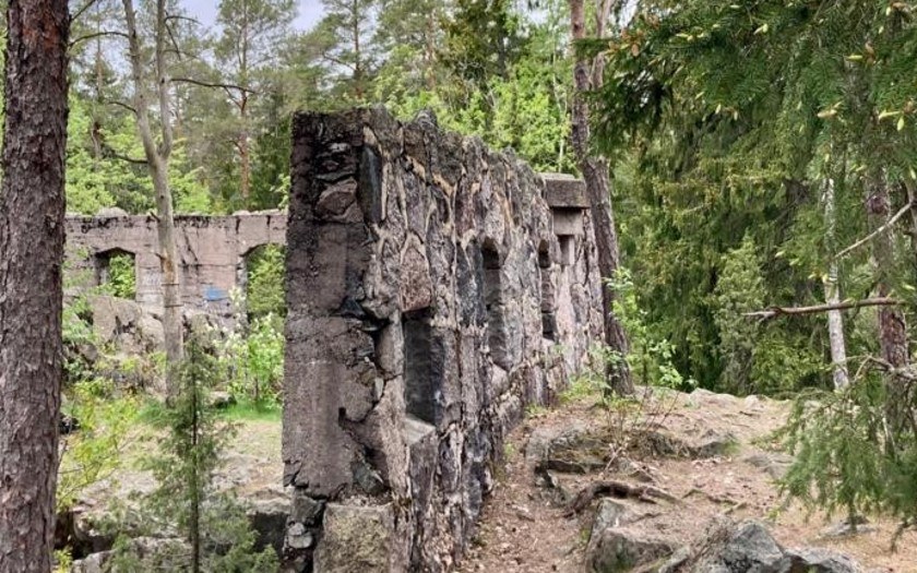 Rock ruins in forest