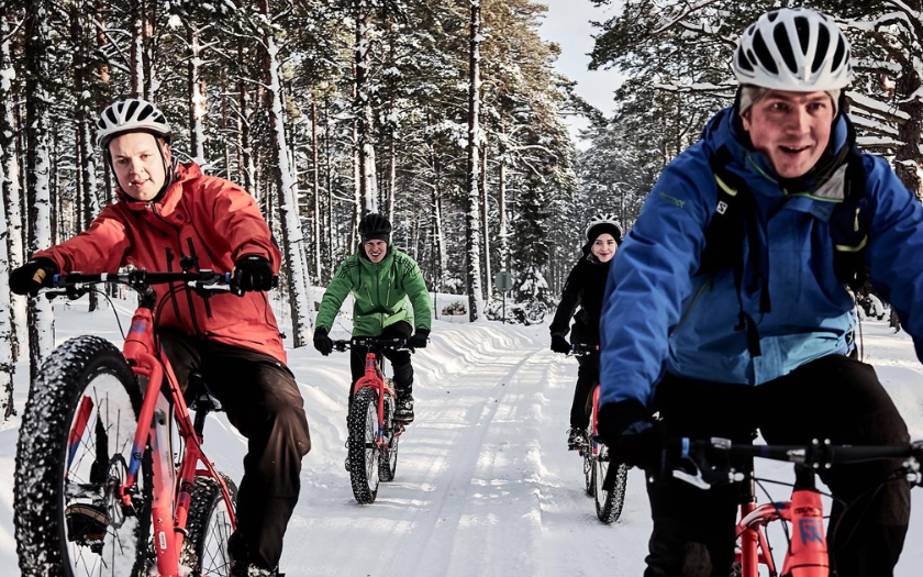 Group of 4 cycling in the snowy forest