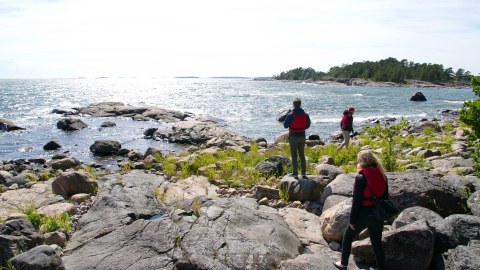 Group exploring Gåsgrund island