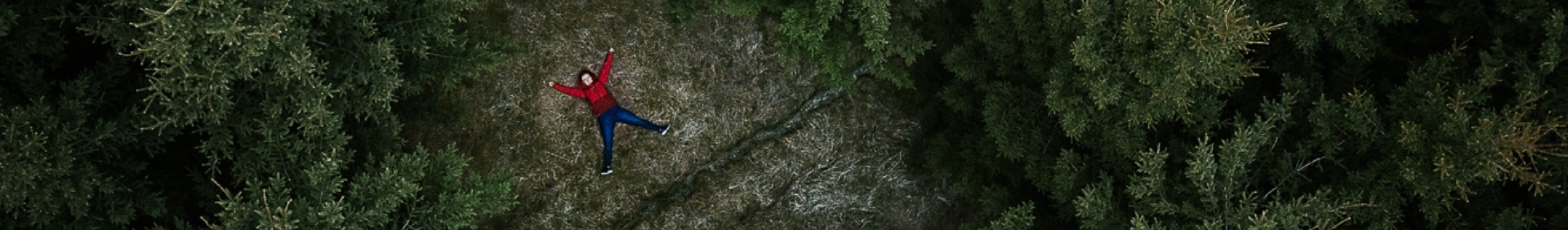 person lying in the middle of forest 